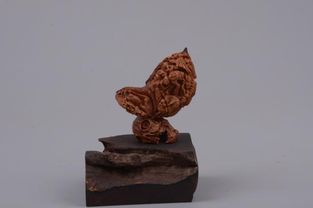 山東省工藝美術(shù)名人 孫業(yè)剛和他的核雕藝術(shù)