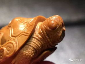 藝術(shù)界的奇葩,果核雕出高價(jià)值