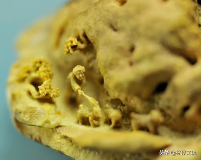 中國式雕刻藝術(shù):核雕的獨特之處